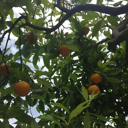 Appartamento Ahava *